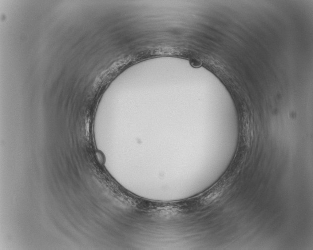 X0000054440310200508270019