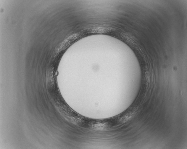 X0000054440312200508270019