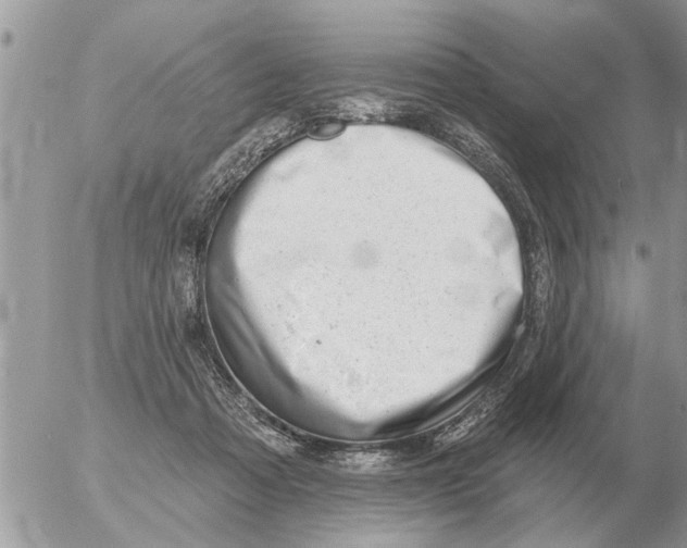 X0000054440313200508270019