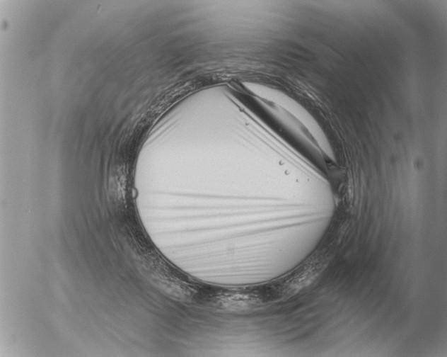 X0000054440315200508270019