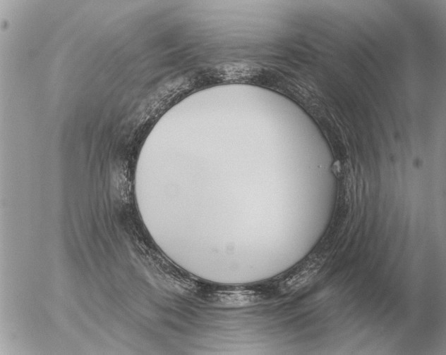 X0000054440316200508270019