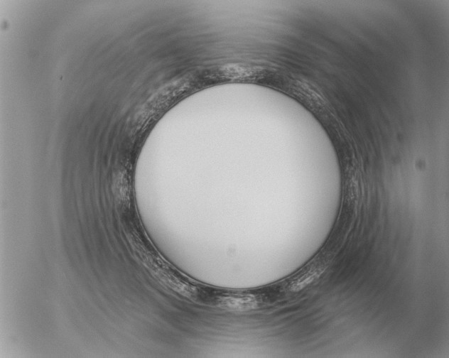 X0000054440317200508270019