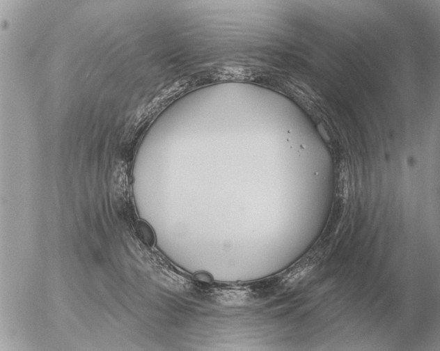 X0000054440318200508270019