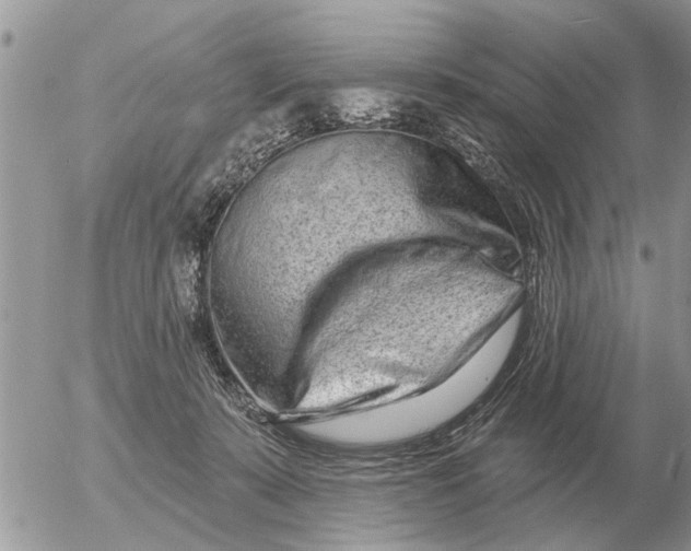 X0000054440319200508270019