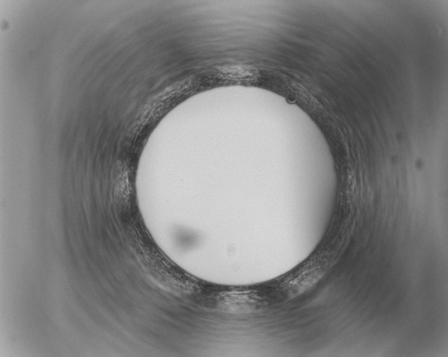 X0000054440320200508270019