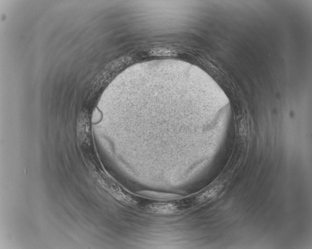 X0000054440322200508270019