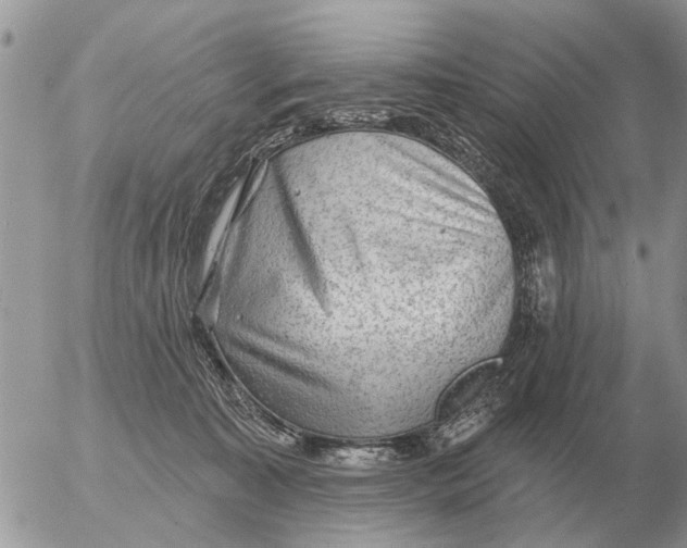 X0000054440323200508270019