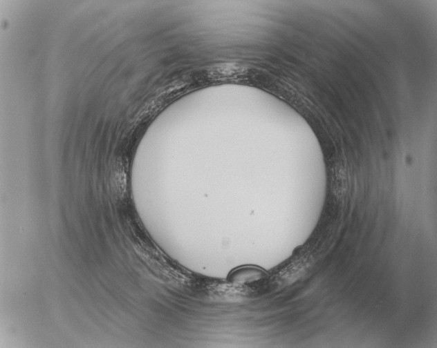 X0000054440324200508270019