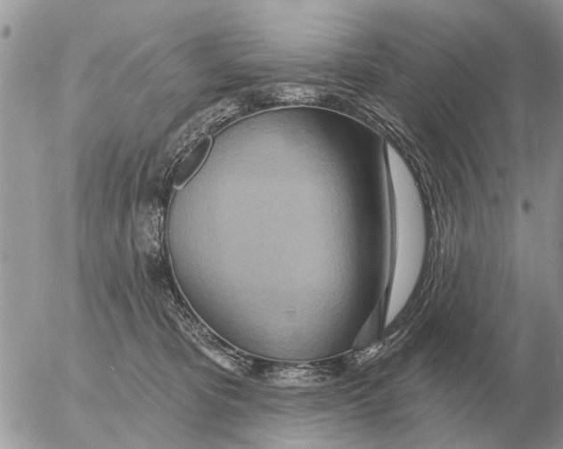 X0000054440325200508270019