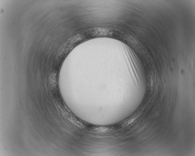 X0000054440326200508270019