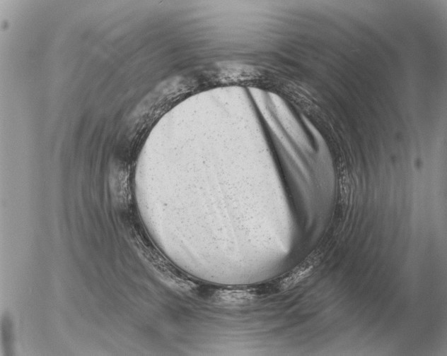 X0000054440327200508270019