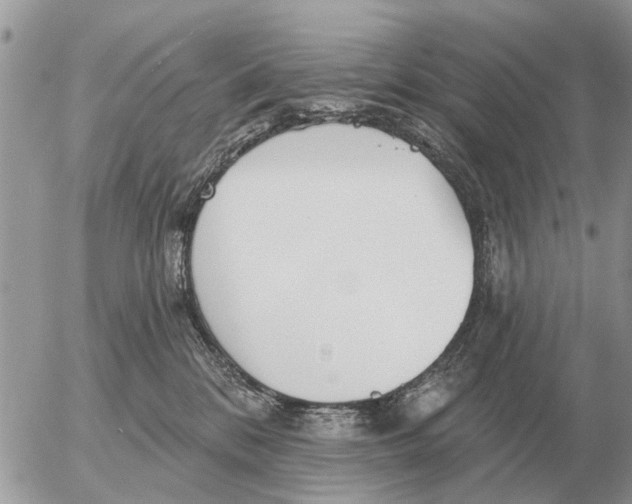 X0000054440328200508270019