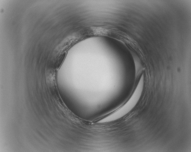 X0000054440329200508270019