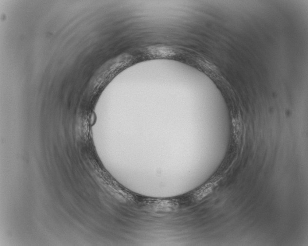 X0000054440330200508270019