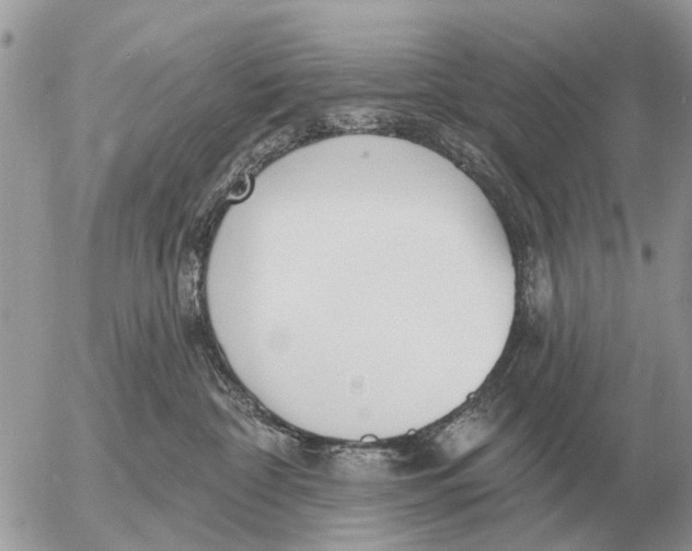 X0000054440332200508270019