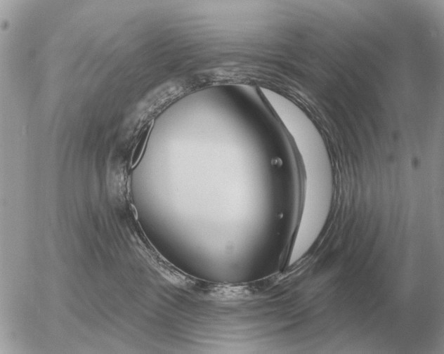 X0000054440333200508270019