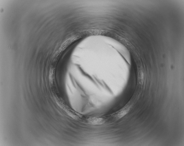 X0000054440334200508270019