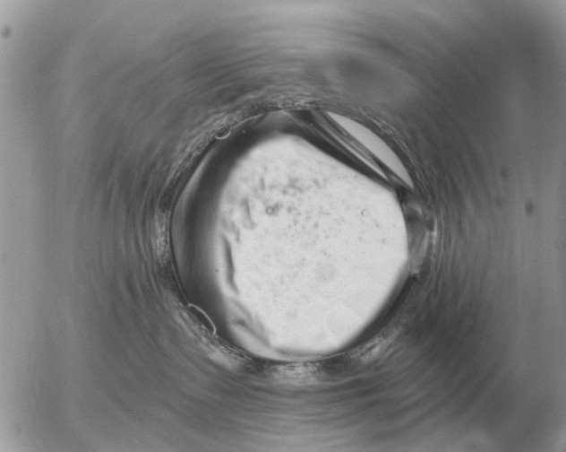 X0000054440335200508270019