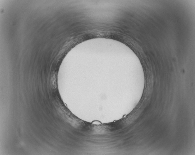 X0000054440336200508270019