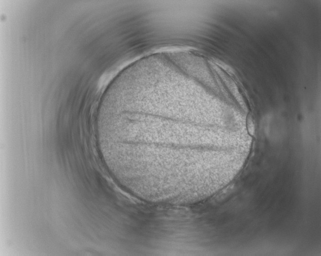 X0000054440337200508270018