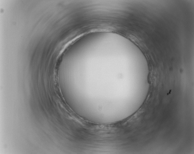 X0000054440338200508270018