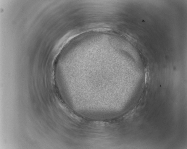 X0000054440339200508270018