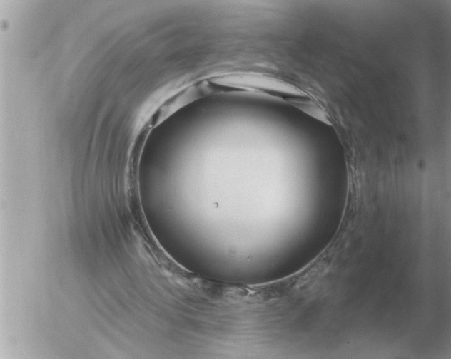 X0000054440340200508270018