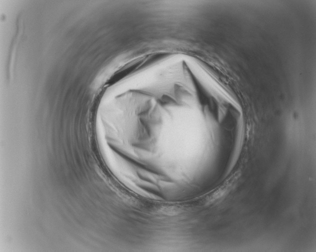 X0000054440341200508270018