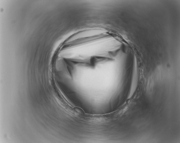 X0000054440342200508270018