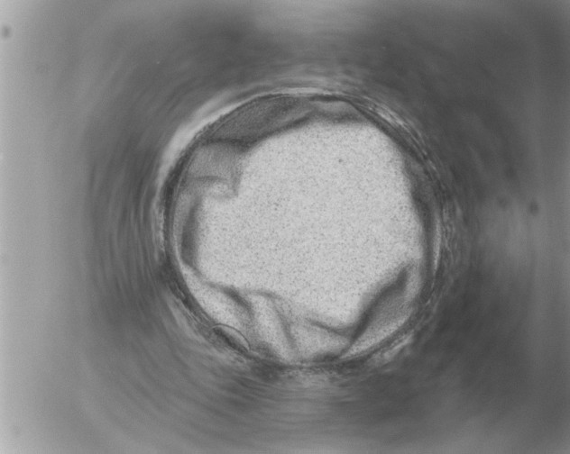 X0000054440343200508270018