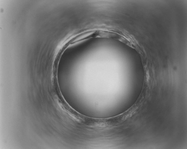 X0000054440344200508270018