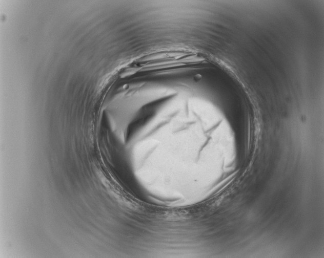 X0000054440345200508270018