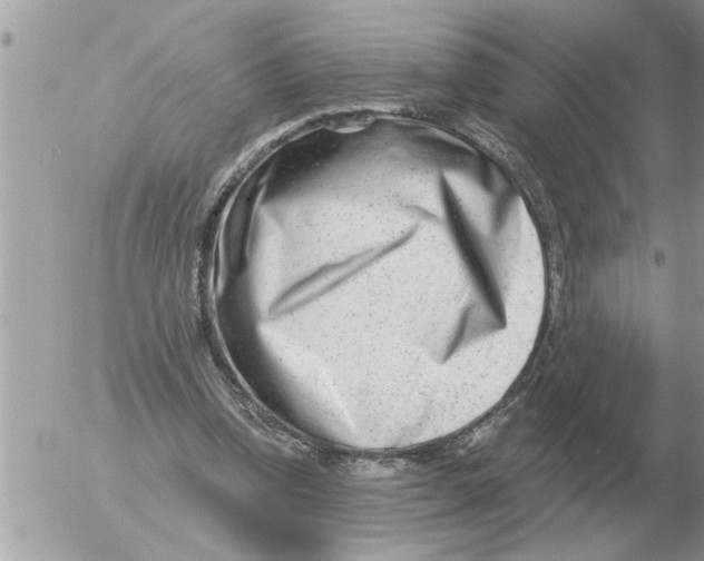 X0000054440346200508270018