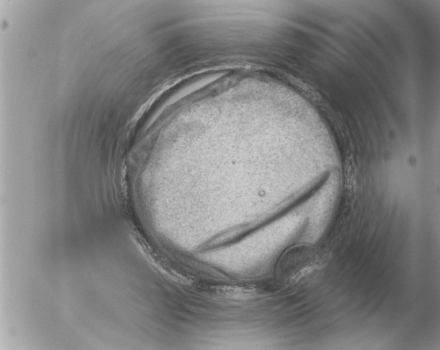 X0000054440347200508270018