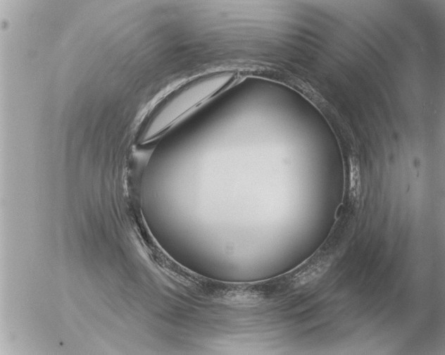 X0000054440348200508270018