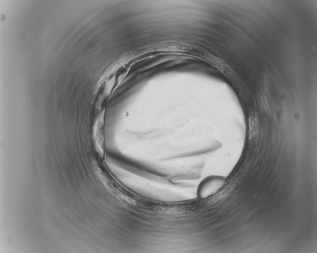 X0000054440349200508270018