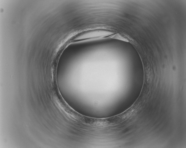 X0000054440350200508270018