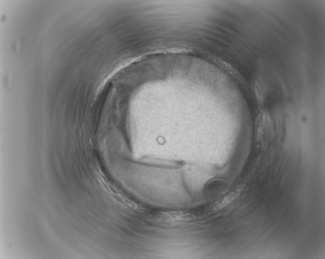 X0000054440351200508270018