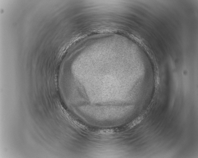 X0000054440353200508270018