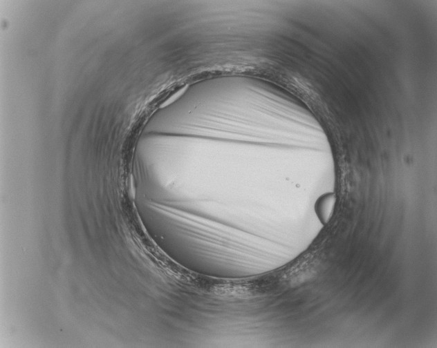 X0000054440354200508270018