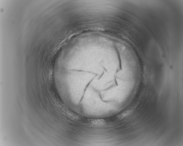 X0000054440355200508270018