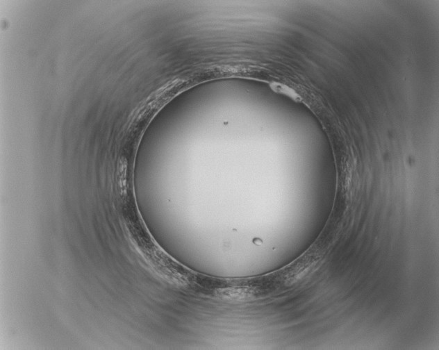 X0000054440356200508270018