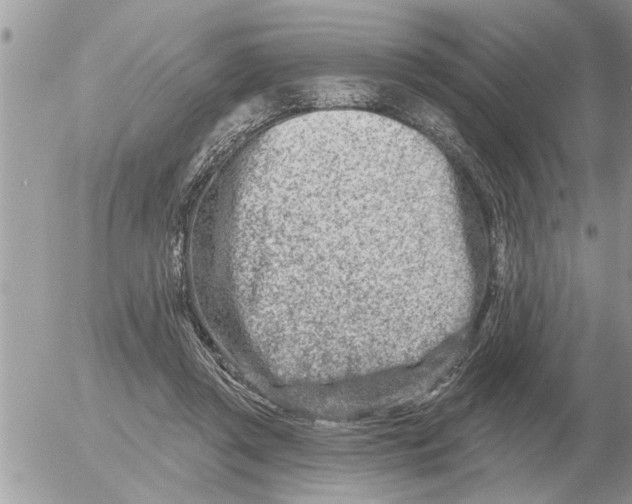 X0000054440357200508270018