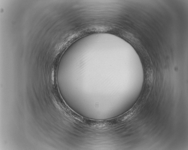 X0000054440358200508270018