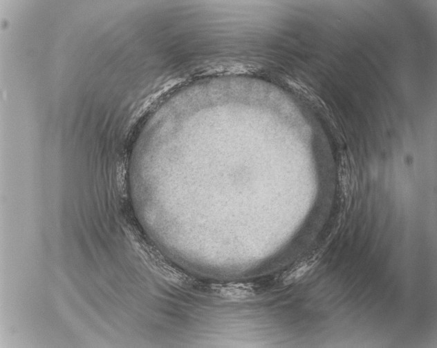 X0000054440359200508270018