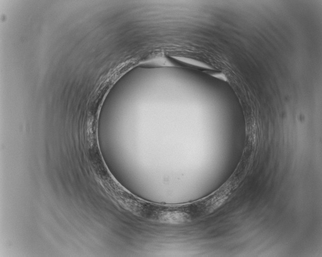 X0000054440360200508270018