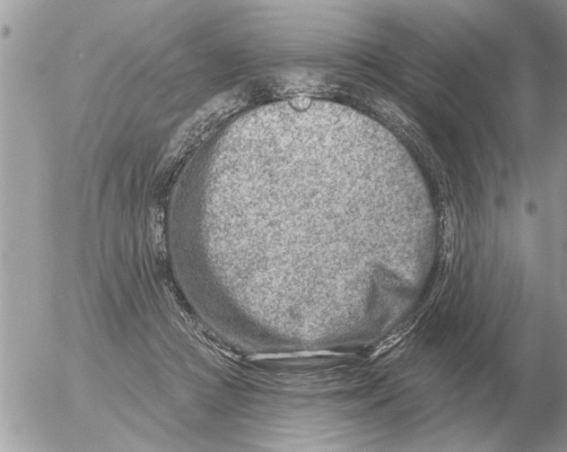 X0000054440361200508270018