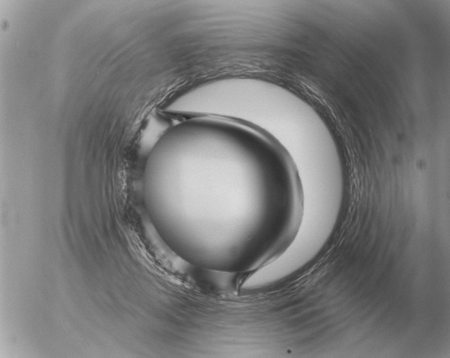 X0000054440362200508270018