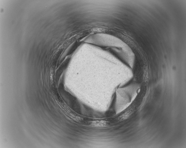 X0000054440363200508270018