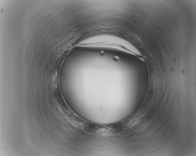 X0000054440364200508270018